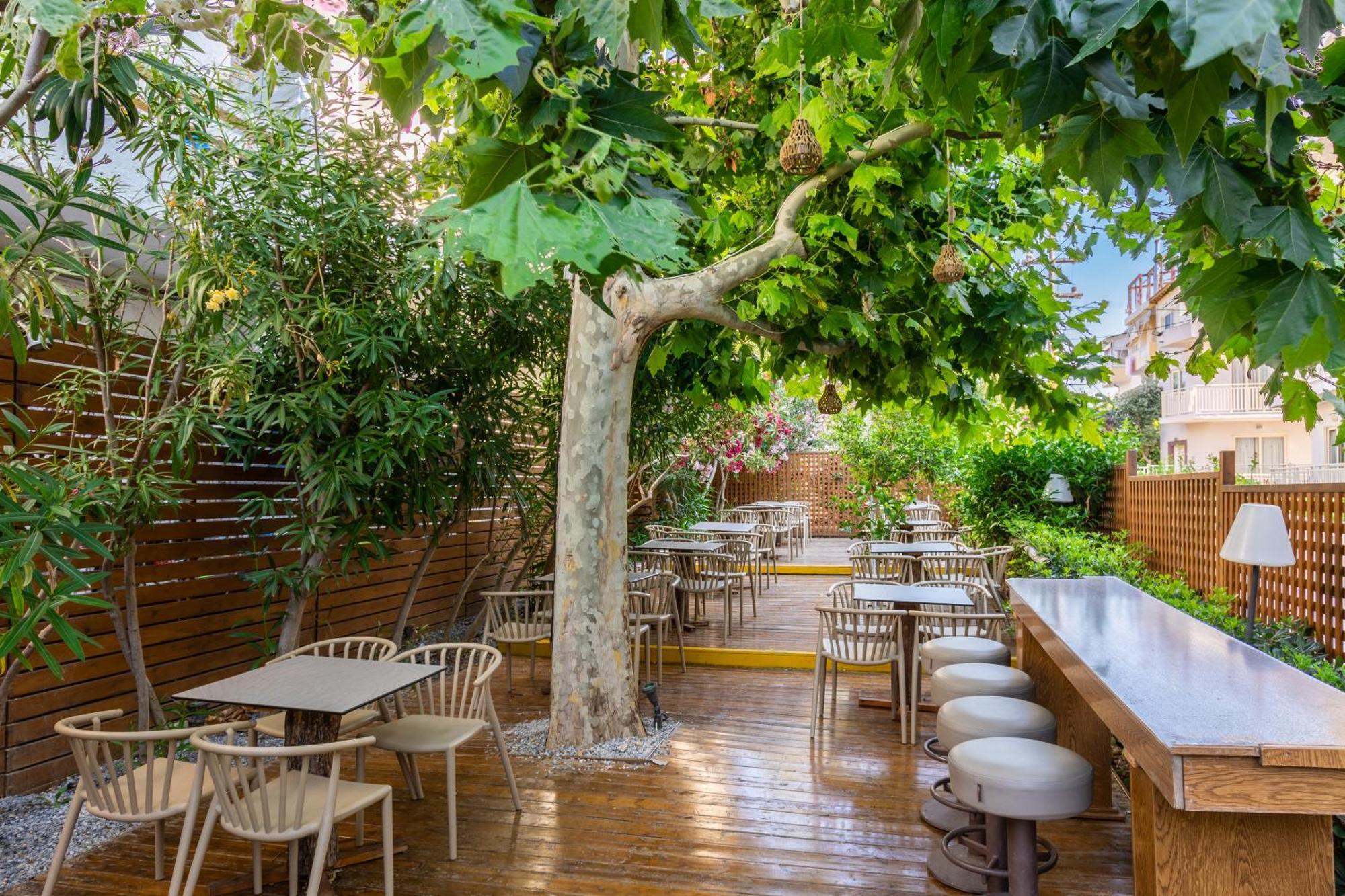 Chc Marilena Hotel Amoudara Lasithiou Exterior foto